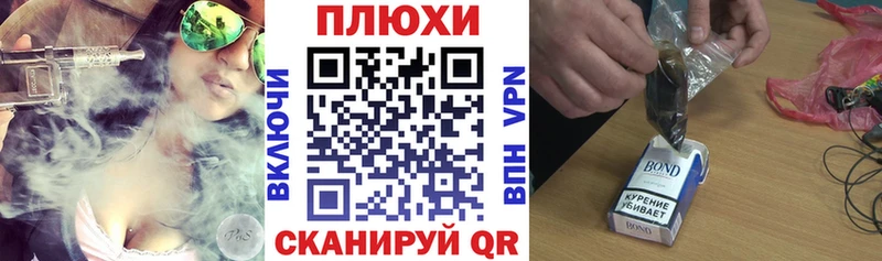 ГАШ Premium  Сураж 
