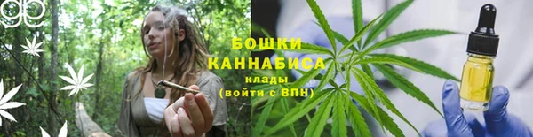 MESCALINE Аркадак