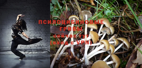MESCALINE Аркадак