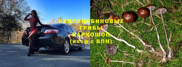 герыч Арсеньев