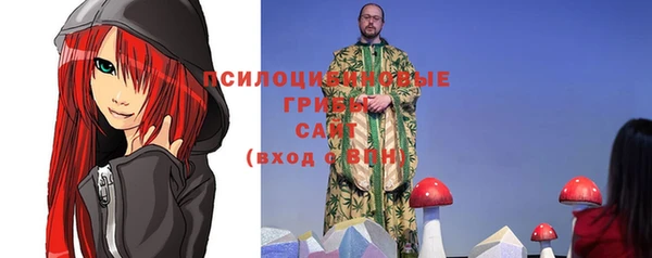 герыч Арсеньев
