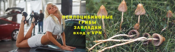 герыч Арсеньев